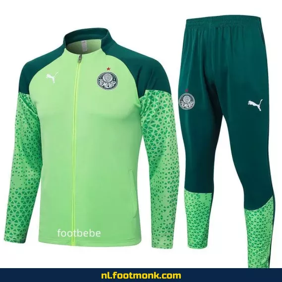 Palmeiras 2024-2025 Groen Voetbalshirt – Officieel Thuistenue | Voetbalshirts Dames & Heren – Bestel Nu Online