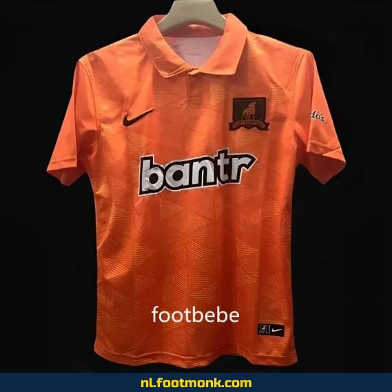 AFC Richmond uit shirt 2023-2024 | Officieel voetbalshirt | Koop nu online