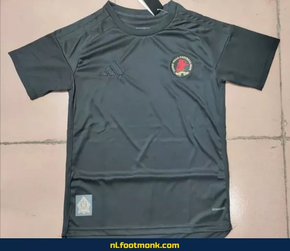 Aston Villa voetbalshirt 2024-2025 - Zwart | Officieel voetbaltenue | Heren & Dames | Fanwear aanbieding
