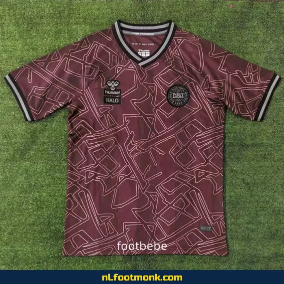 Denemarken 2024-2025 Voetbalshirt – Speciale Editie | Officieel Voetbalshirt | Voetbalshirt Kopen