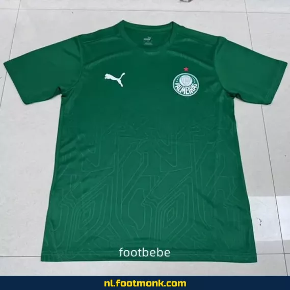 Officieel Palmeiras Voetbalshirt 2025-2026 Concept - Groen | Origineel Voetbalshirt | Fanwear | Heren & Dames | Personaliseerbaar