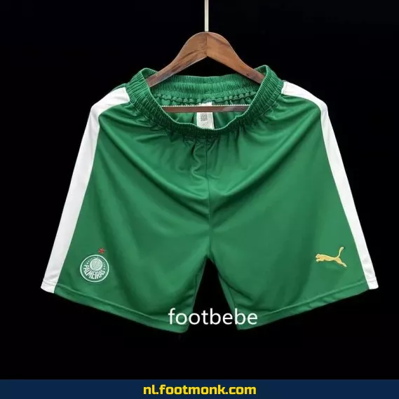 Palmeiras 2024-2025 Voetbalshirt Groen – Officieel Voetbalshirt, Fanwear, Bedrukking Optie